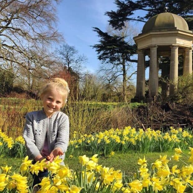 Doddington Hall & Gardens - Photo
