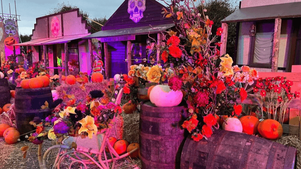 Land of the Dead