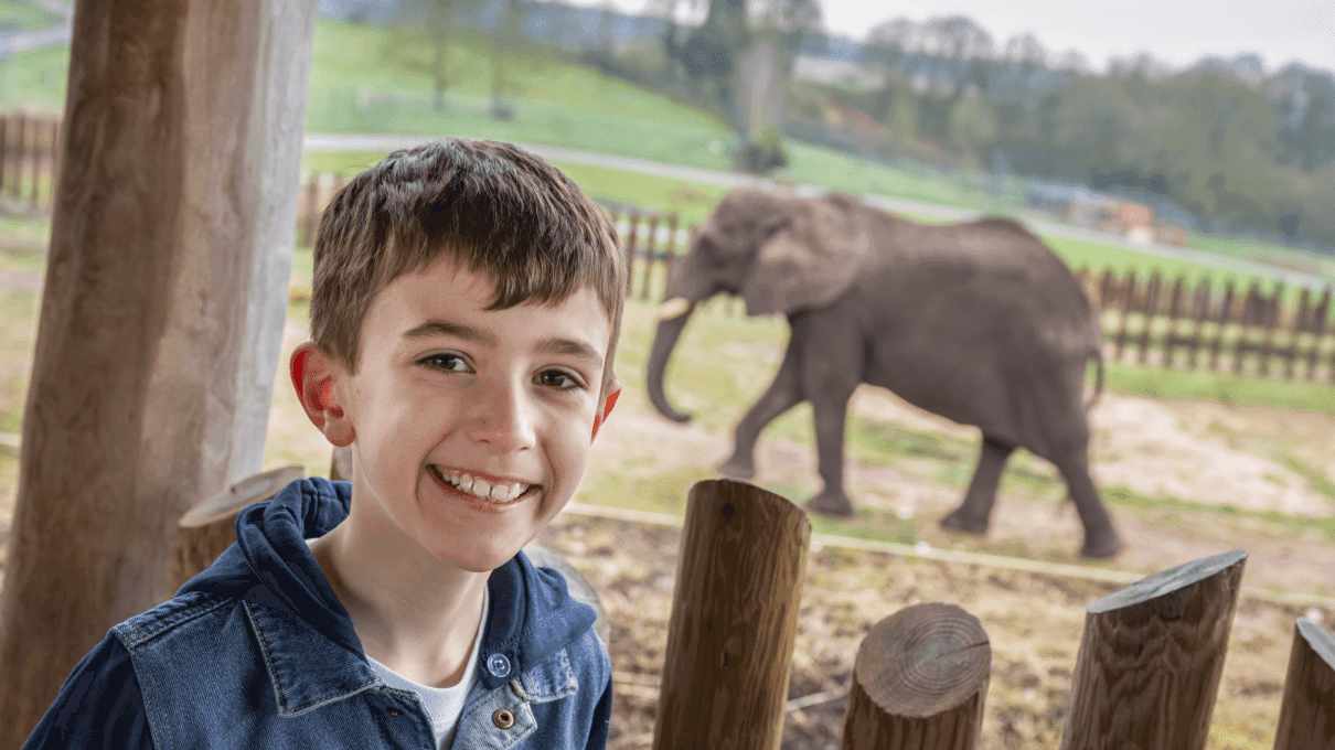 West Midlands Safari Park - Photo