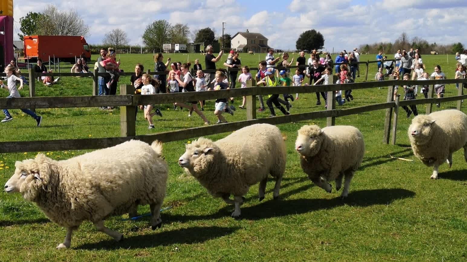 Roves Farm Visitor Centre - Photo