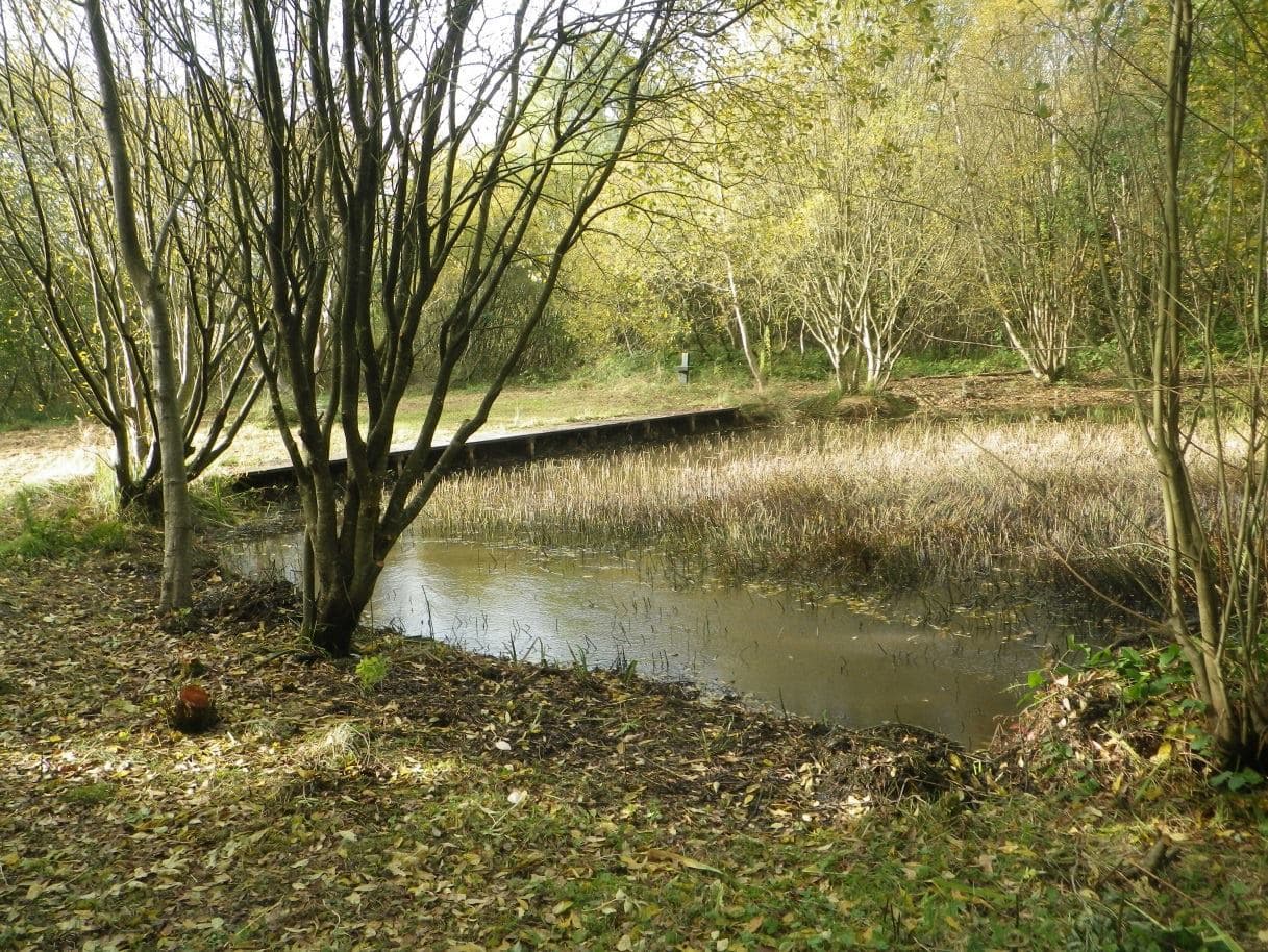 Eglinton Country Park