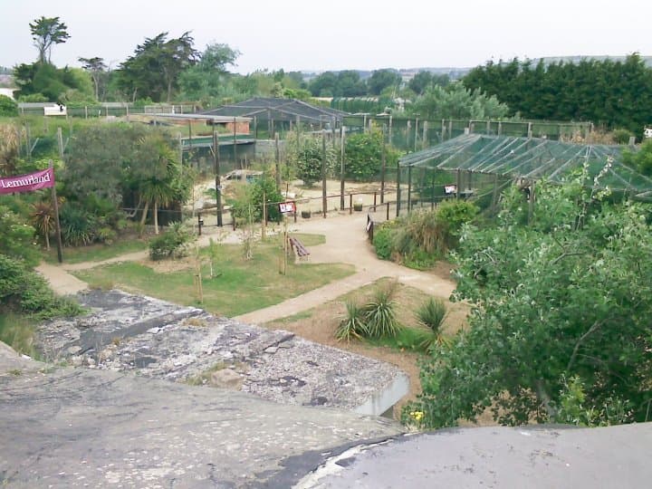 Isle of Wight Zoo