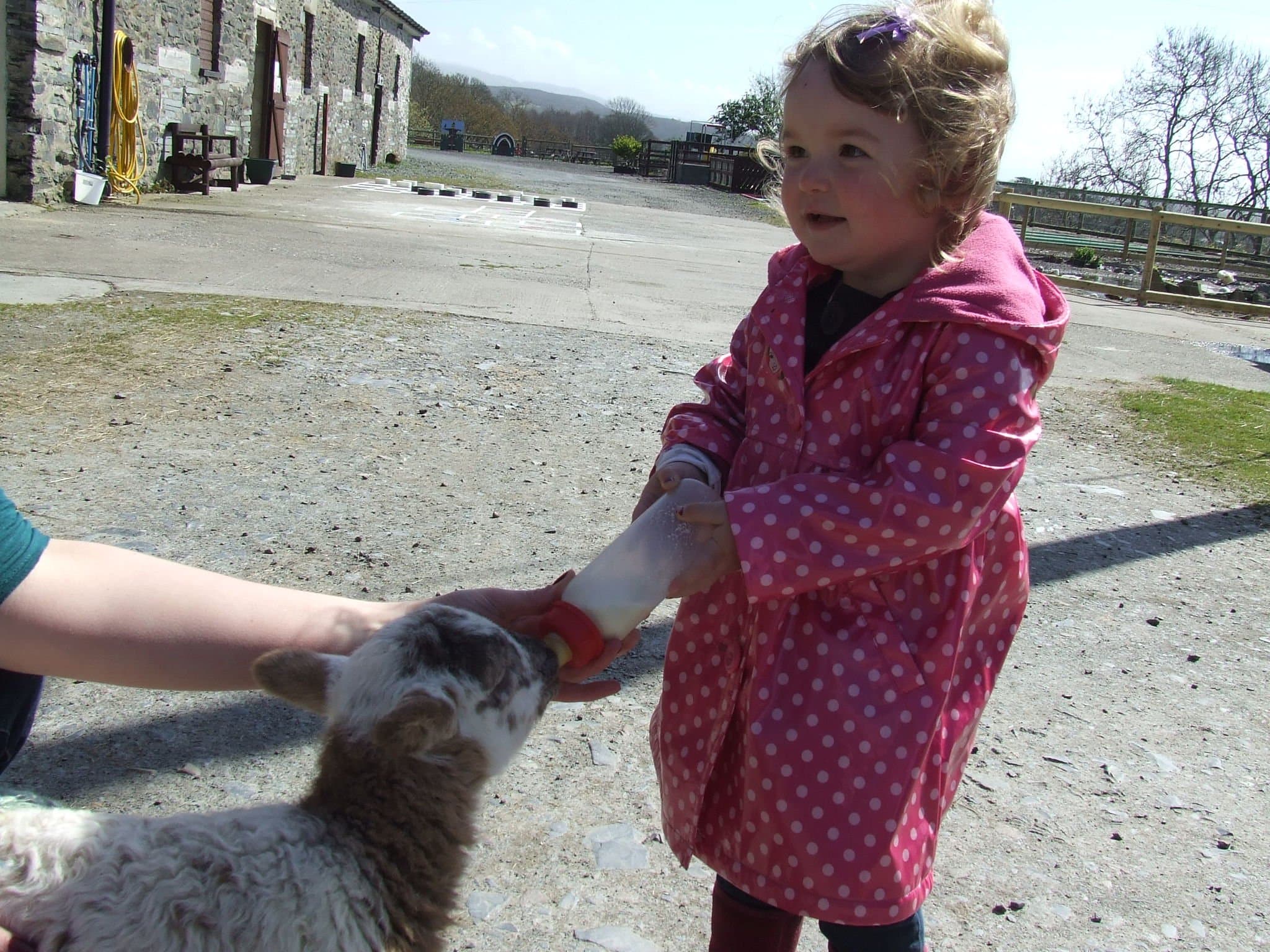 The Childrens Farm Park