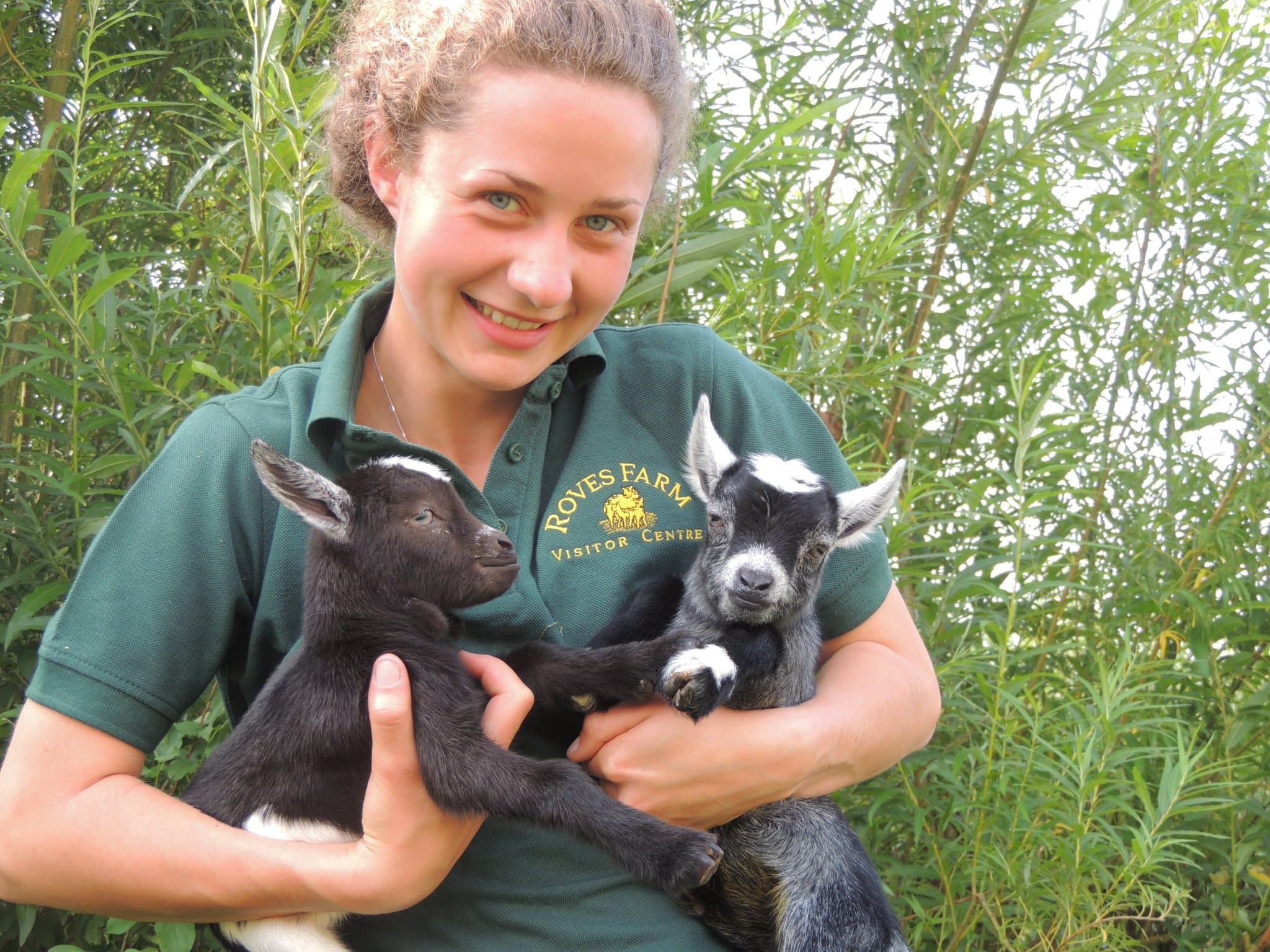 Roves Farm Visitor Centre - Photo