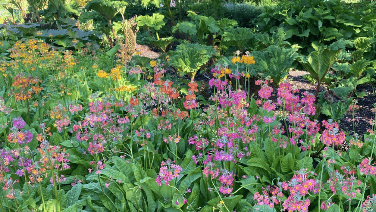 Golden Acre Park - Photo
