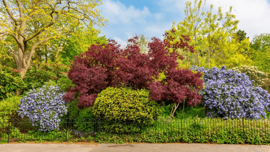 Queen's Park London - Photo