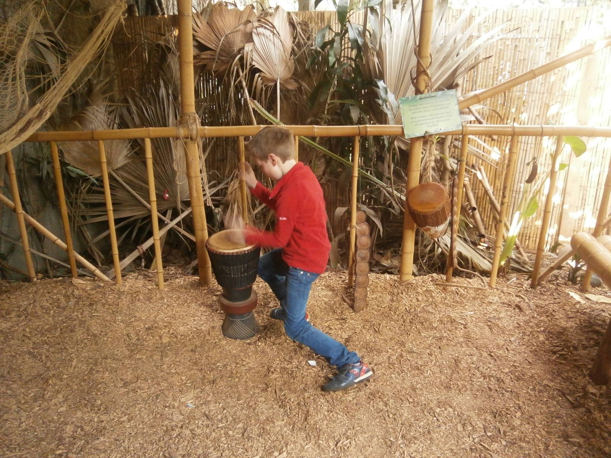 Anker Wood at Dobbies - Photo