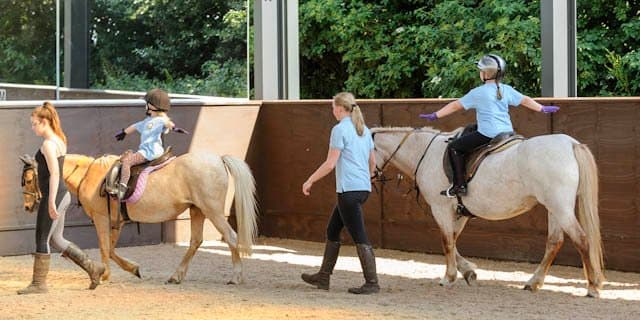 Cannock Chase Horse Trekking - Photo