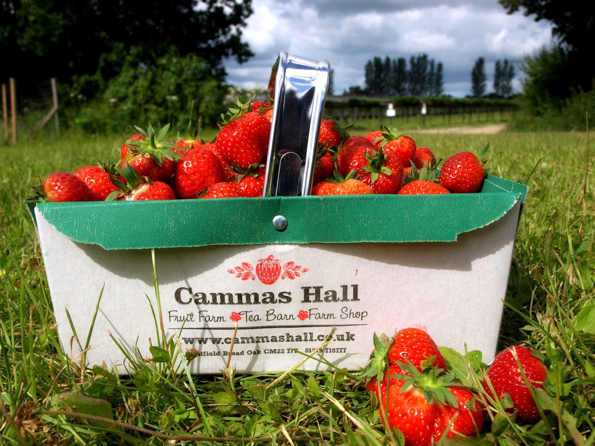Cammas Hall Farm - Photo