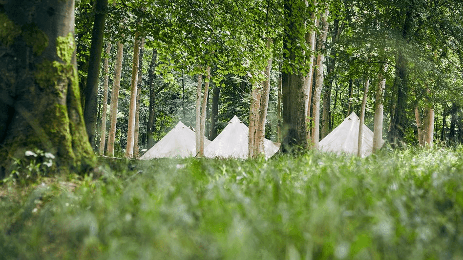 Camp Wilderness at Castle Howard