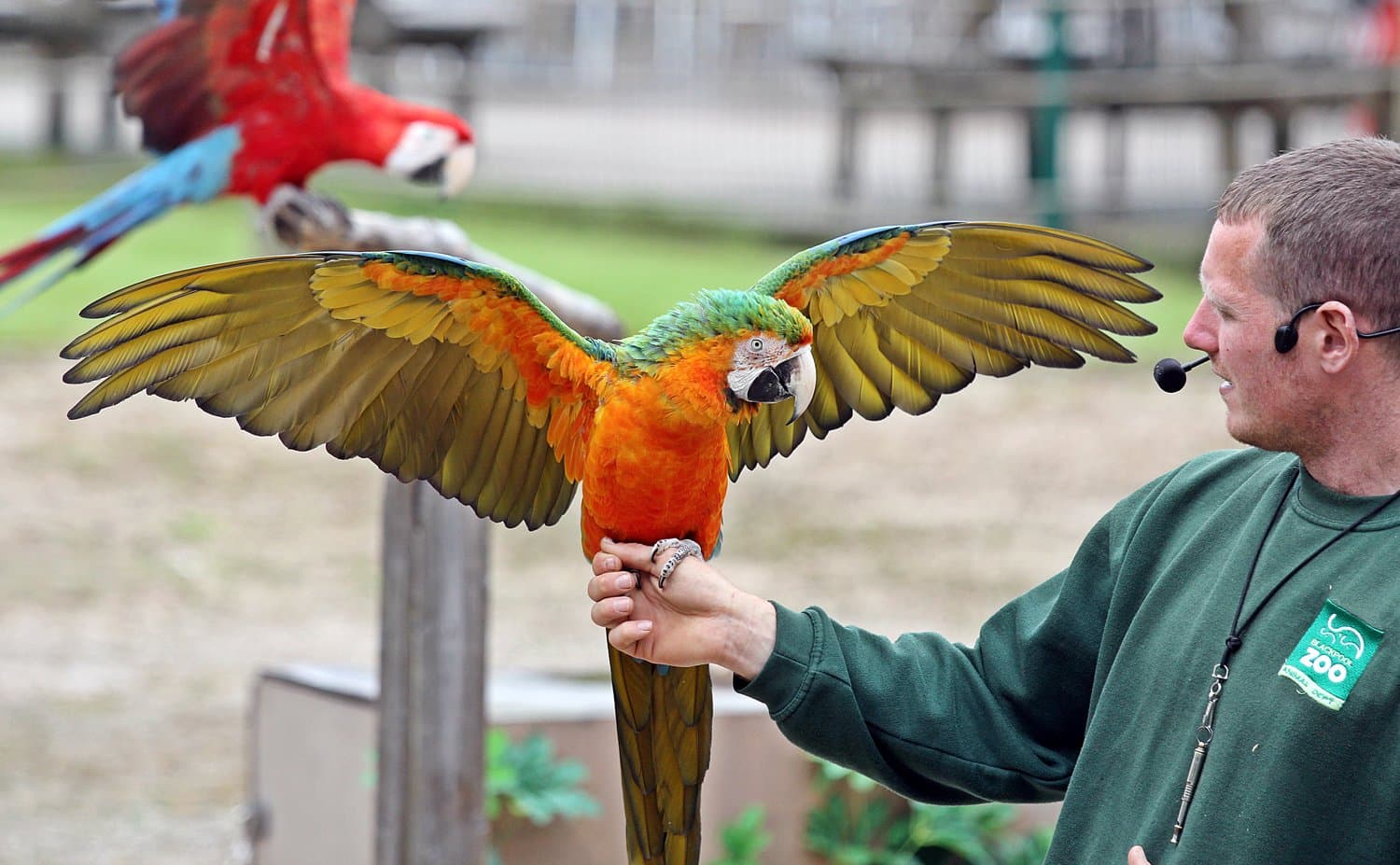 Blackpool Zoo
