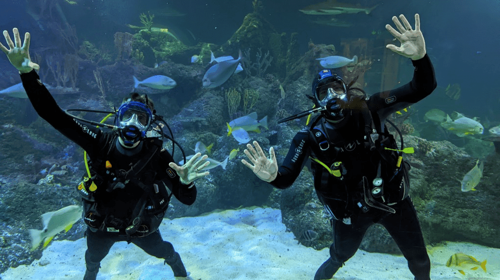 Skegness Aquarium