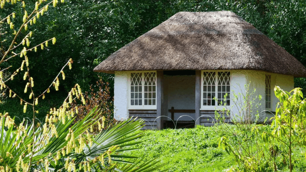 Glendurgan Garden - National Trust - Photo