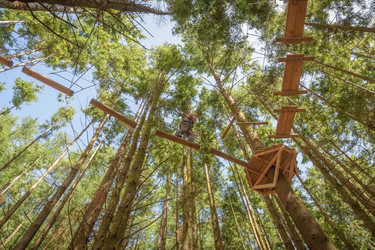 The Tunnel Tree Tops - Photo