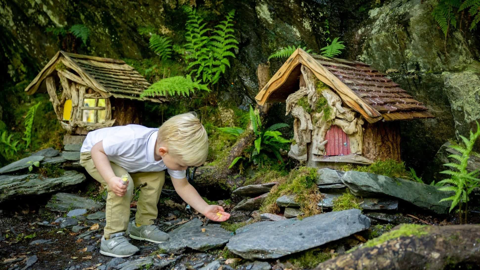 Loch Lomond Faerie Trail