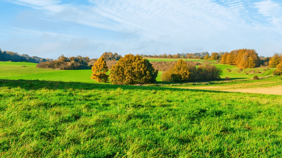 Lullingstone Country Park Kent - Photo