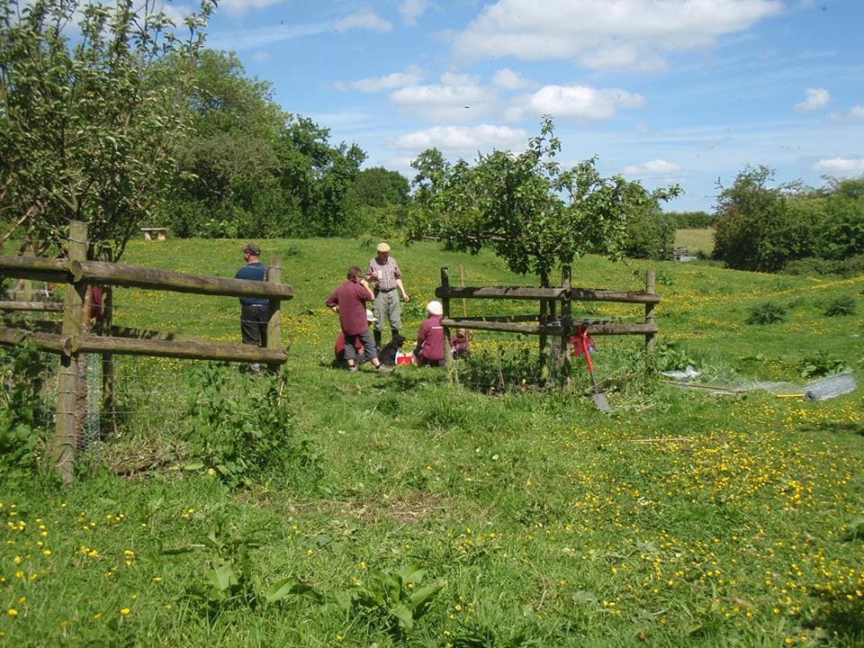 Worcester Woods Country Park - Photo