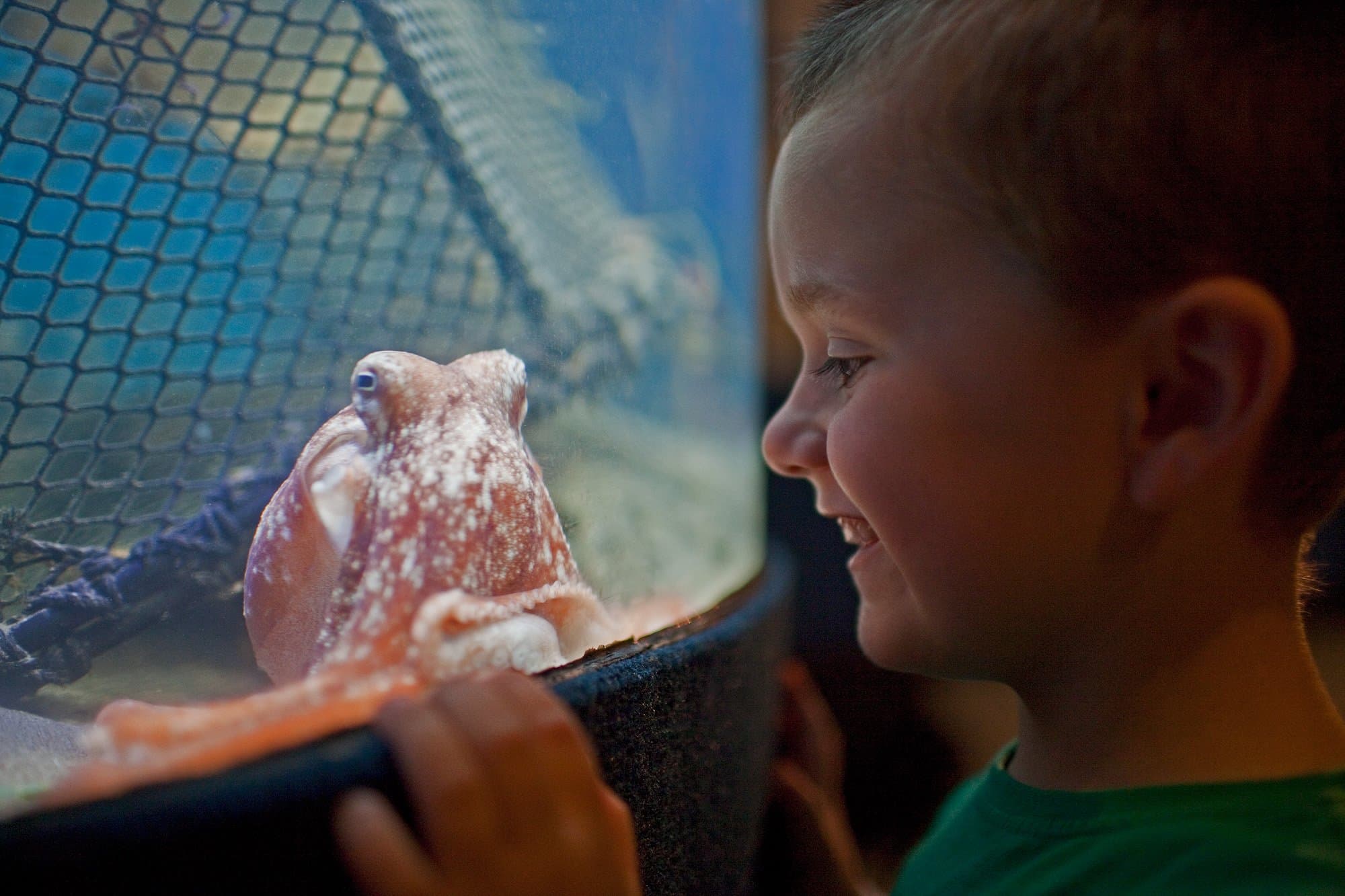 Anglesey Sea Zoo