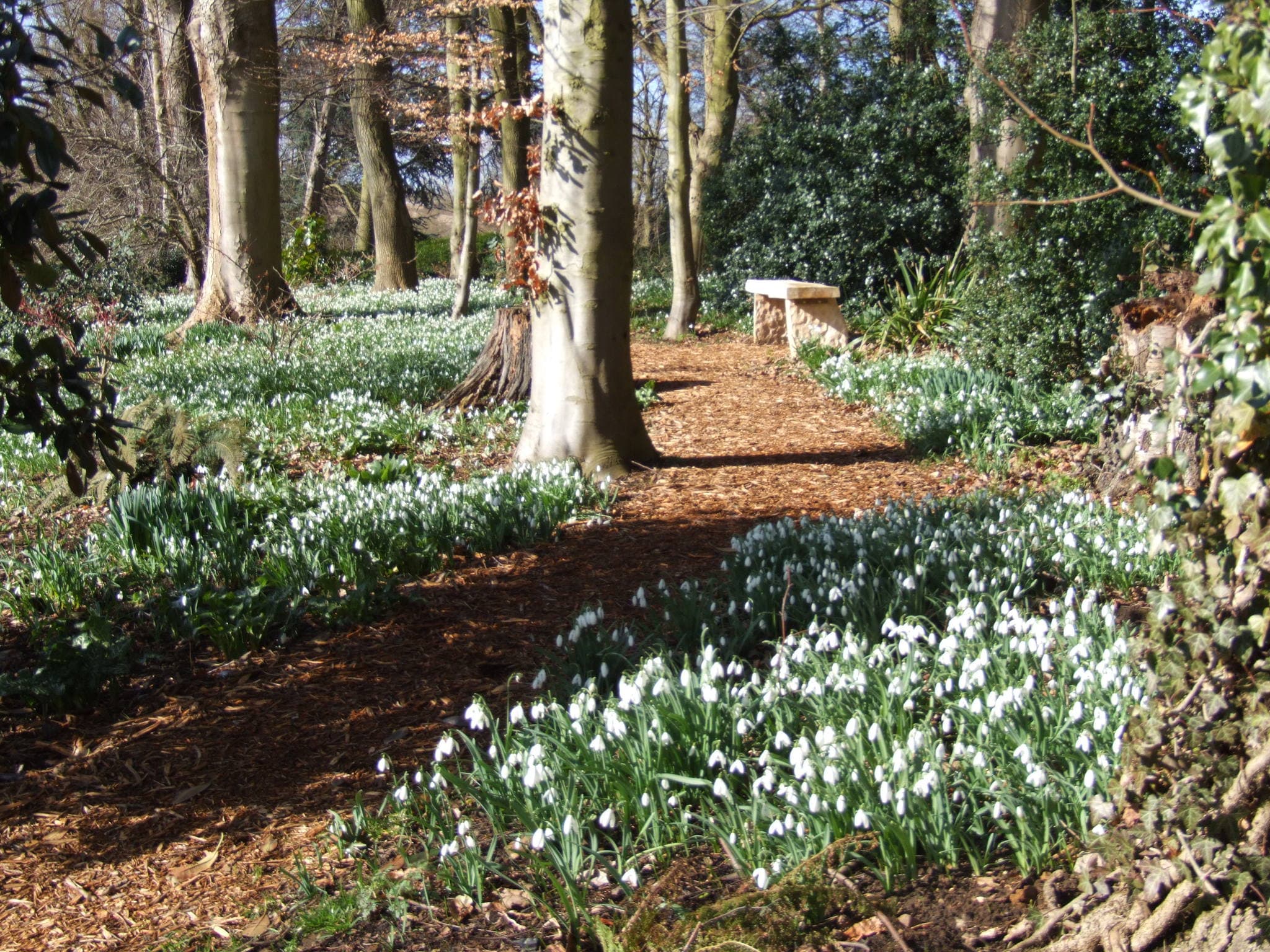 Coton Manor - Photo