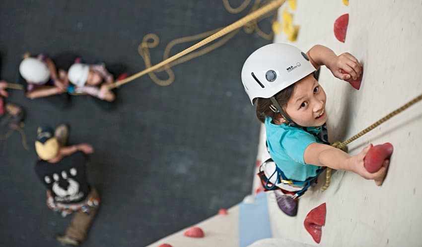 White Spider Climbing - Photo