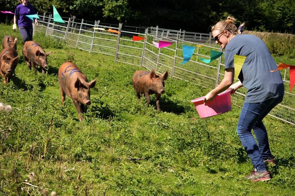 Bill Quay Community Farm