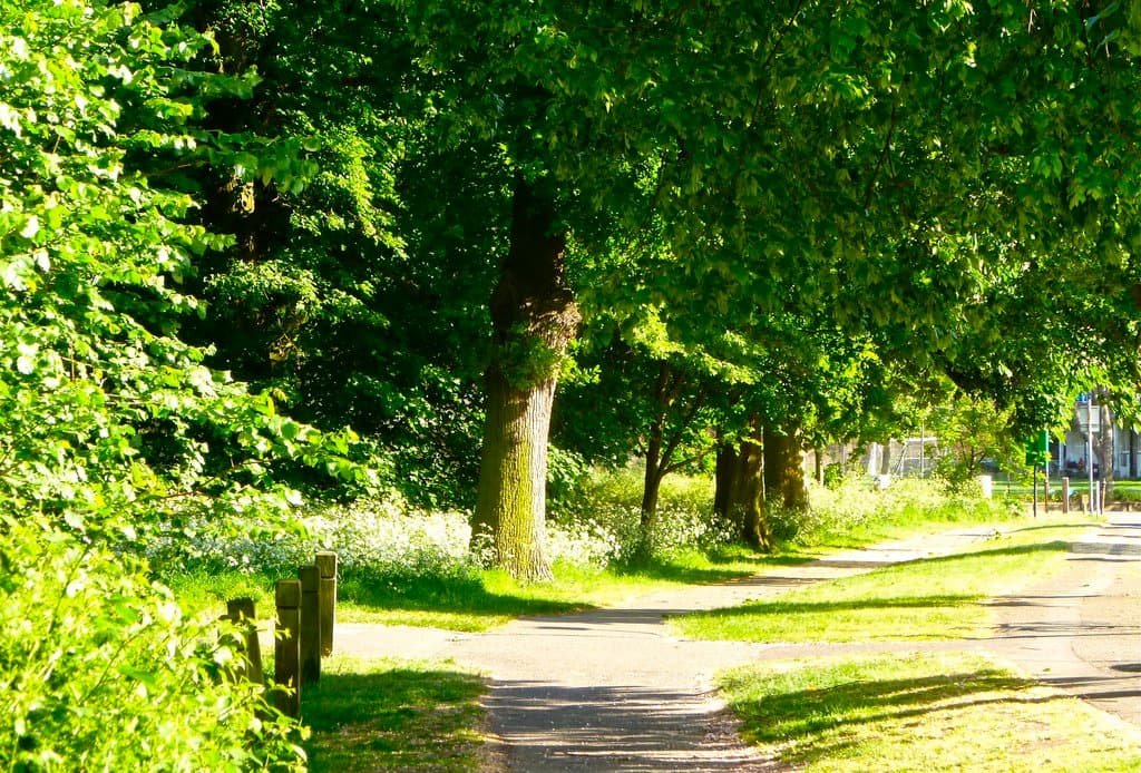 Wandsworth Common - Photo 1