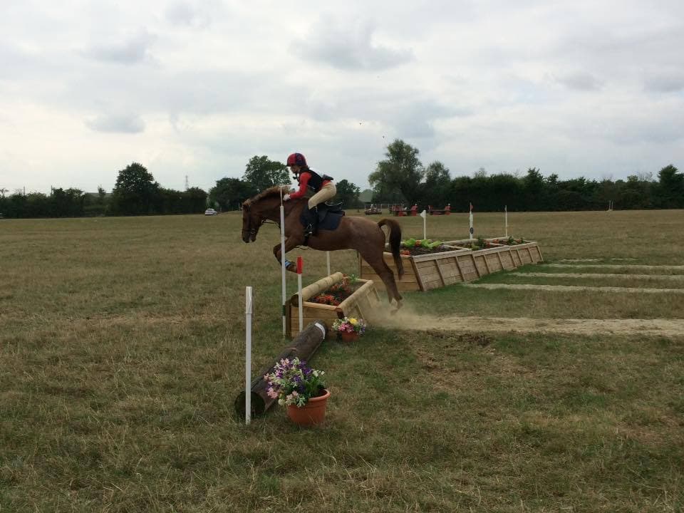 Wellgrove Farm Stables