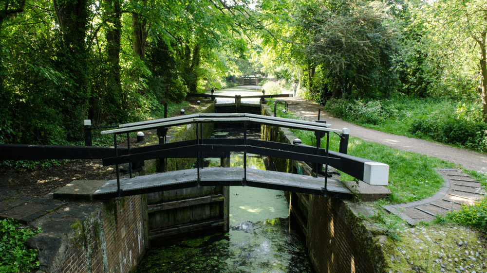 Basingstoke Canal Visitor Centre - Photo