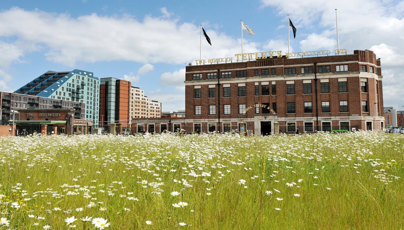 The Tetley