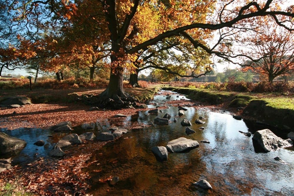Bradgate Park Leicester