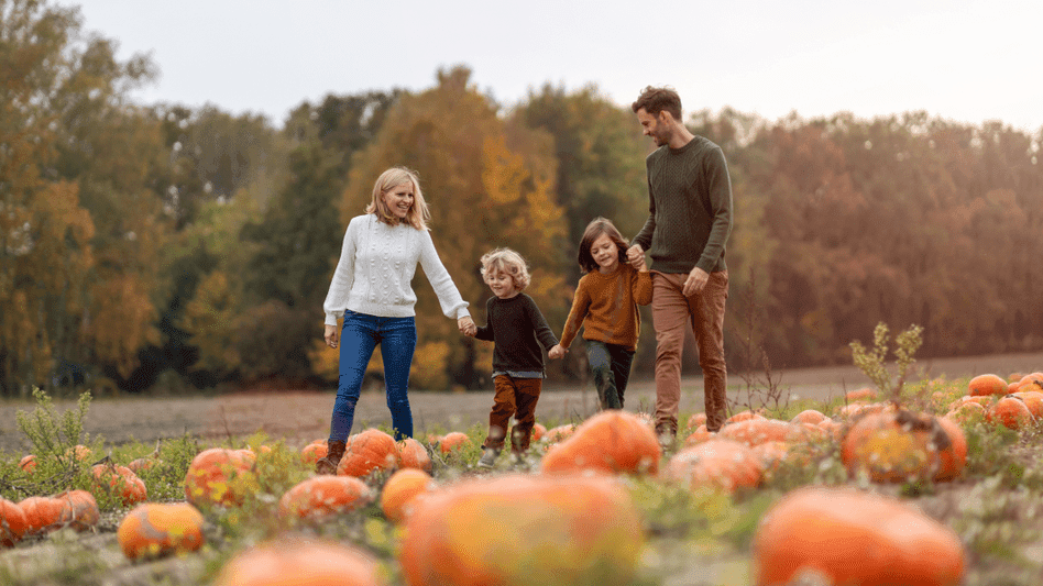 The Pumpkin Patch East Bergholt