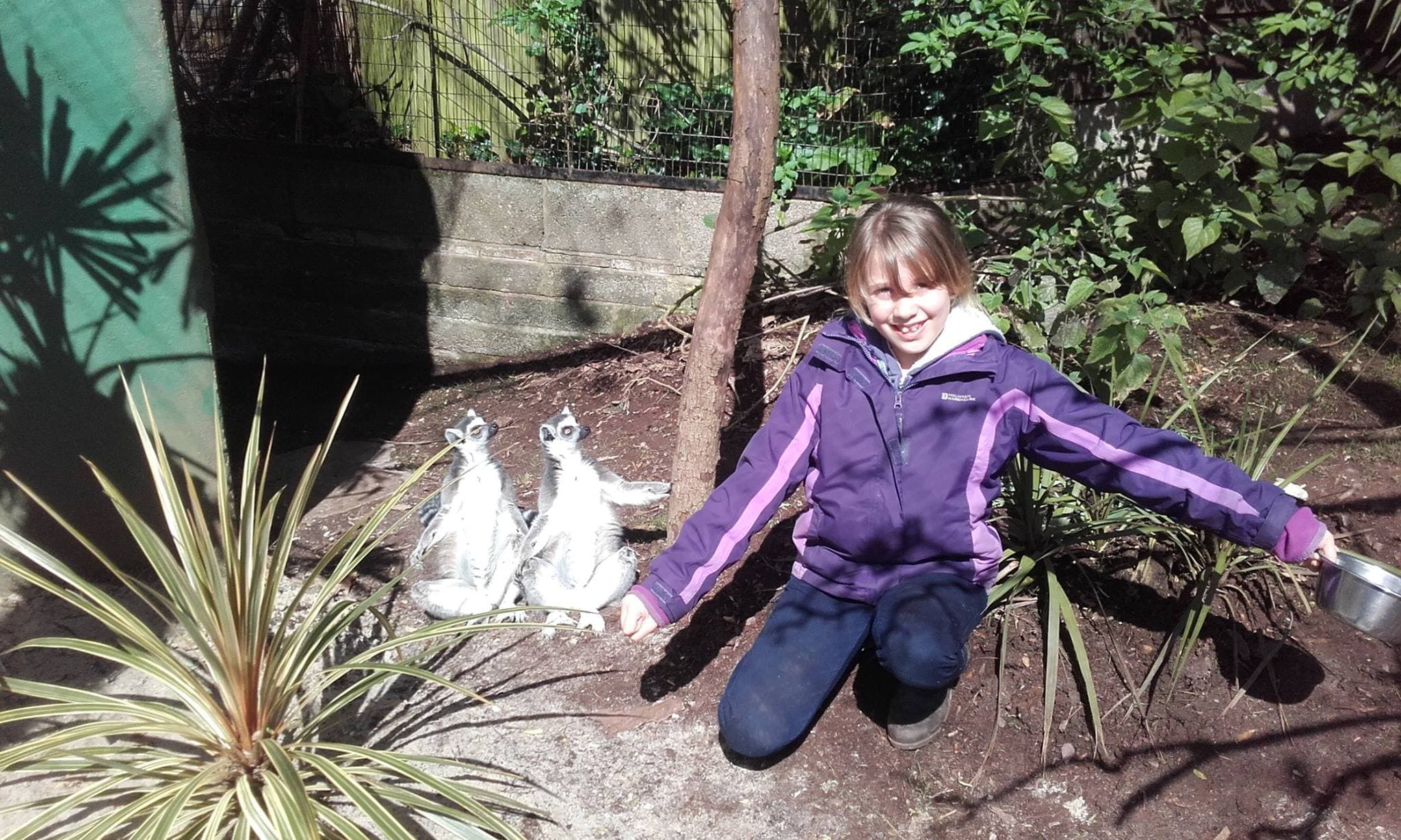 Shaldon Zoo - Photo