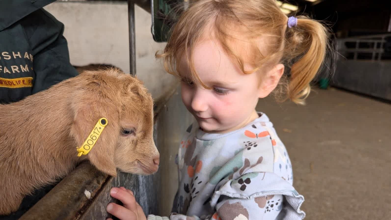 Hogshaw Farm & Wildlife Park