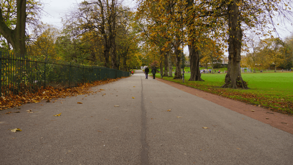 Hillsborough Park - Photo