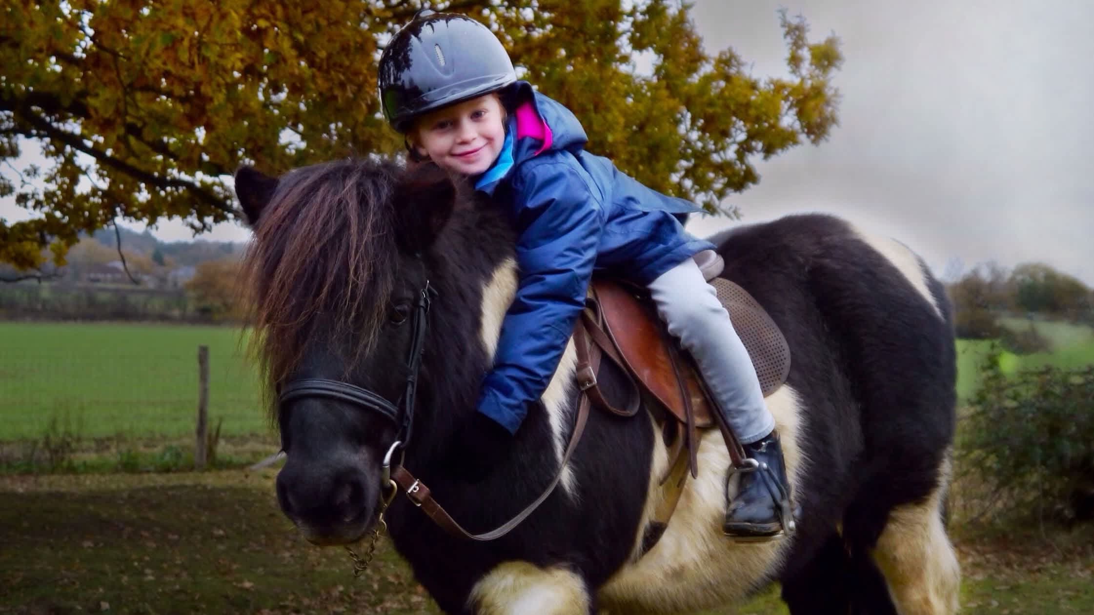 Shetland Pony Club - Photo