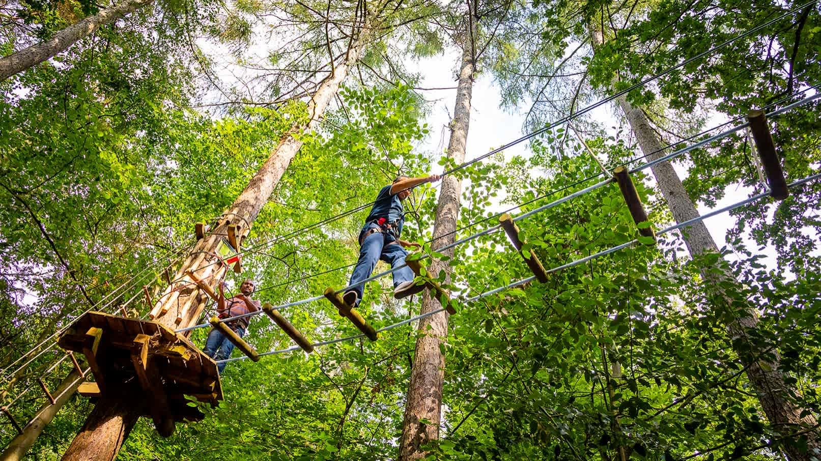 Go Ape Rivington - Photo