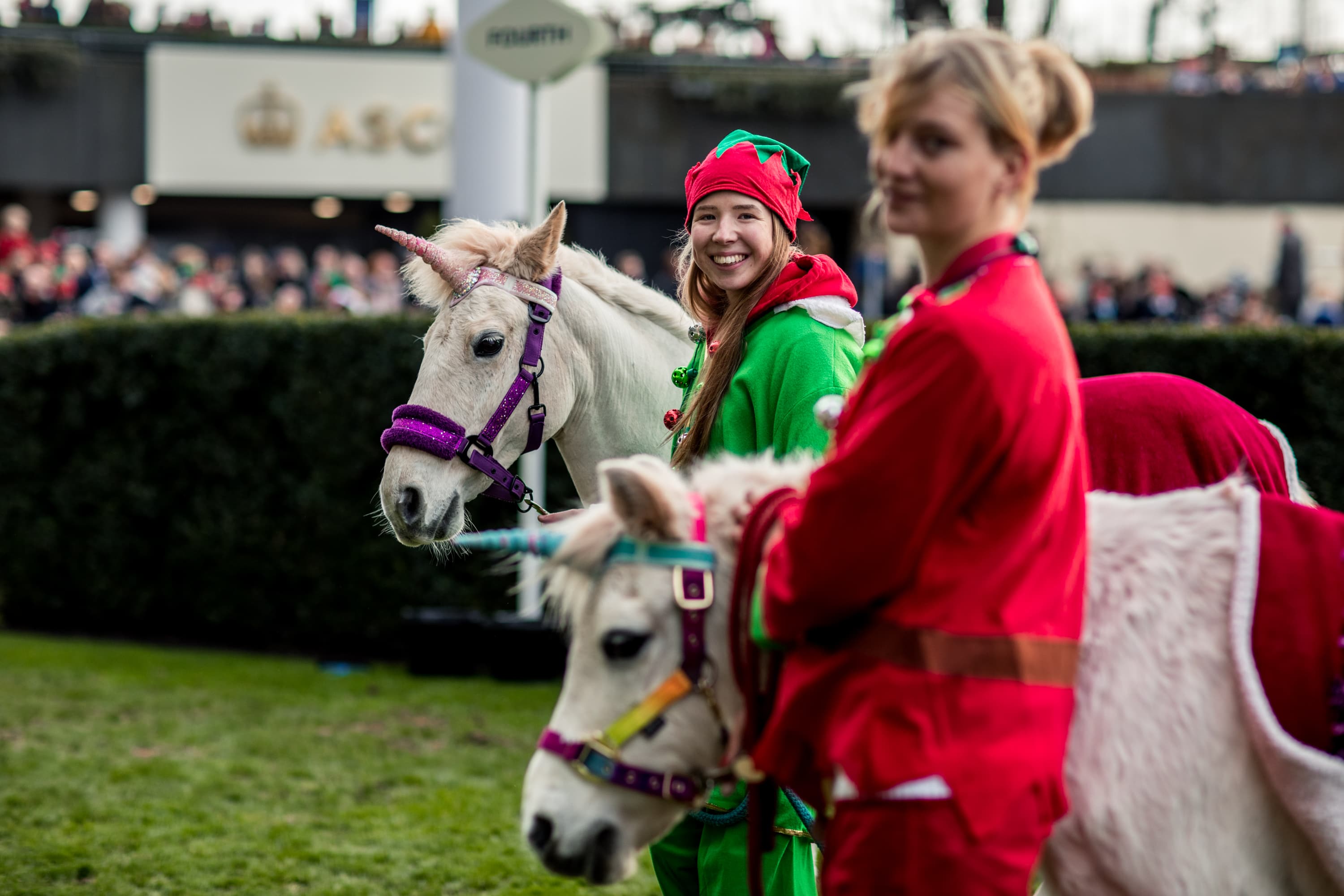 Howden Christmas Family Raceday at Ascot Racecourse - Photo
