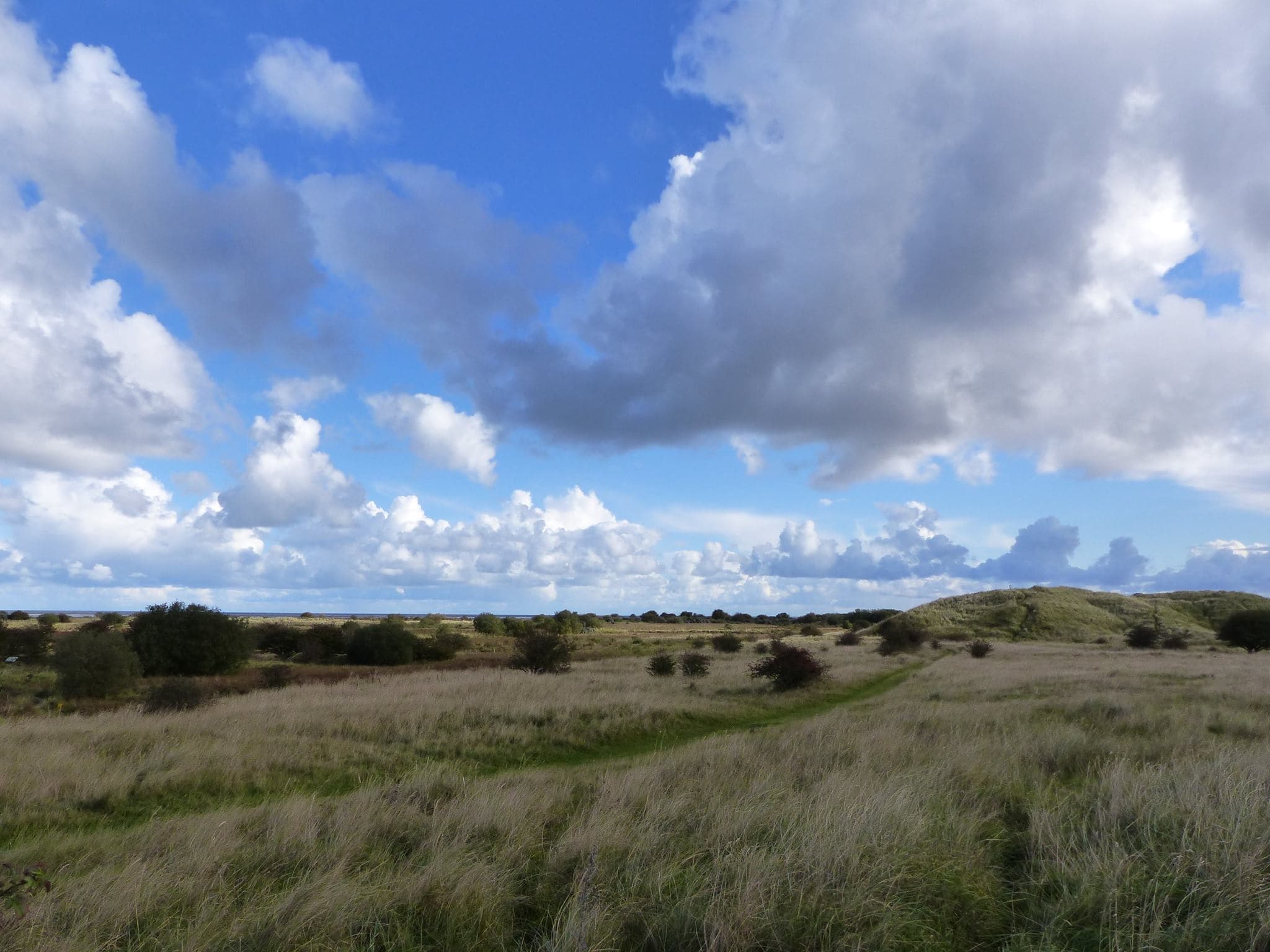Donna Nook Nature Reserve - Photo 1
