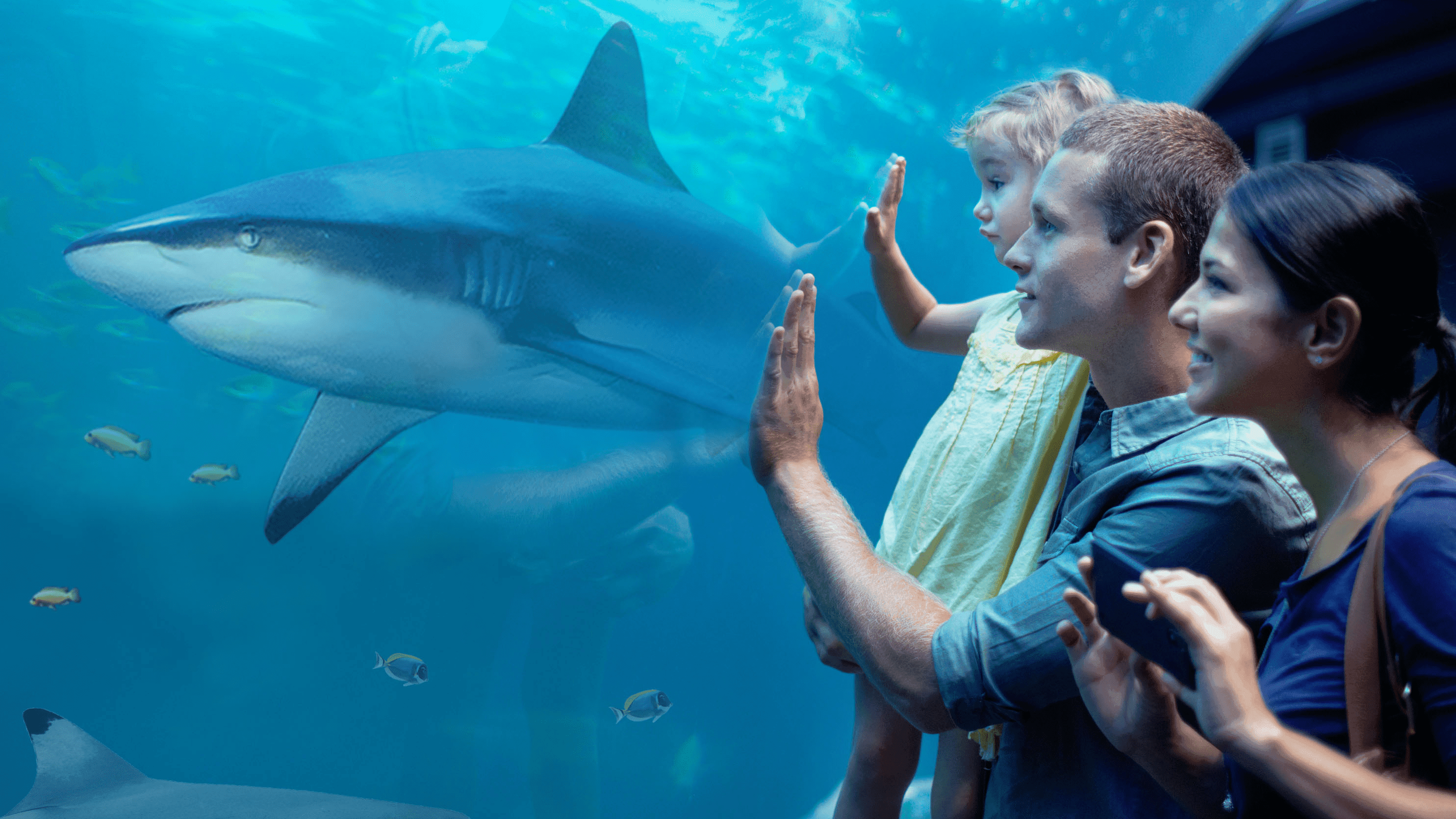 Oceanarium