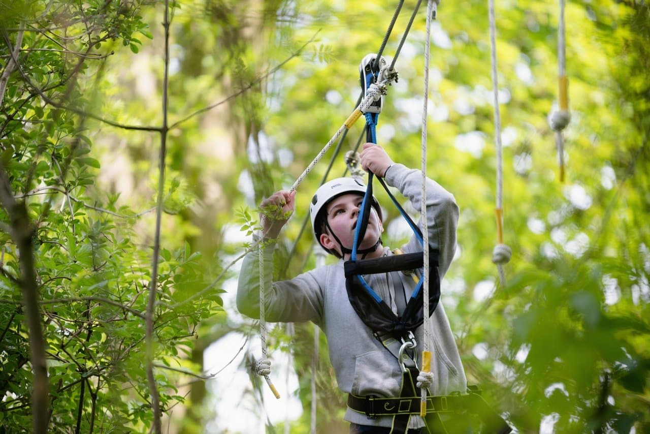 Raven Tree Top Adventure - Photo