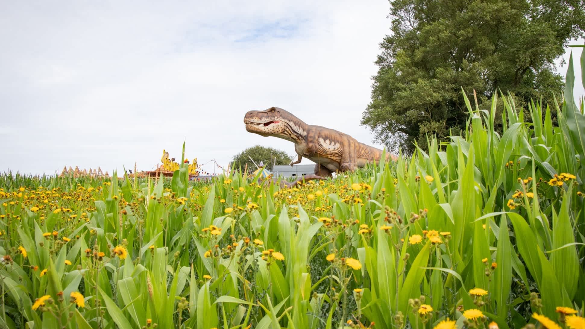 FANTASY FARM - Photo
