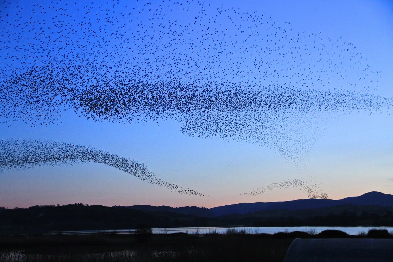 RSPB Conwy Nature Reserve - Photo