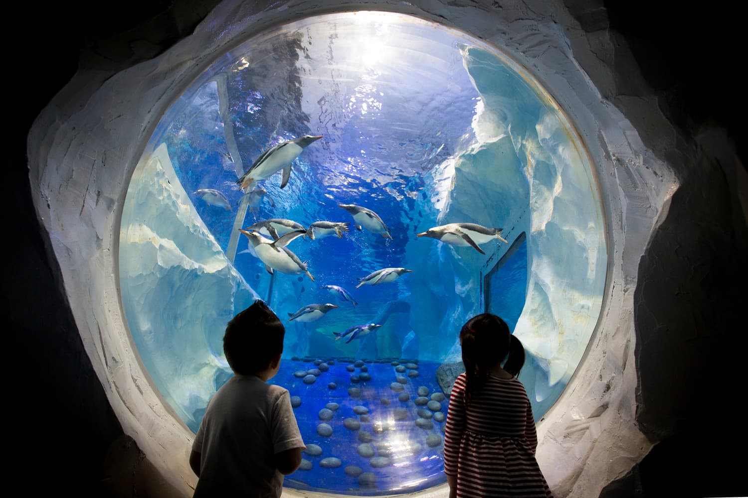 SEA LIFE Birmingham - Photo