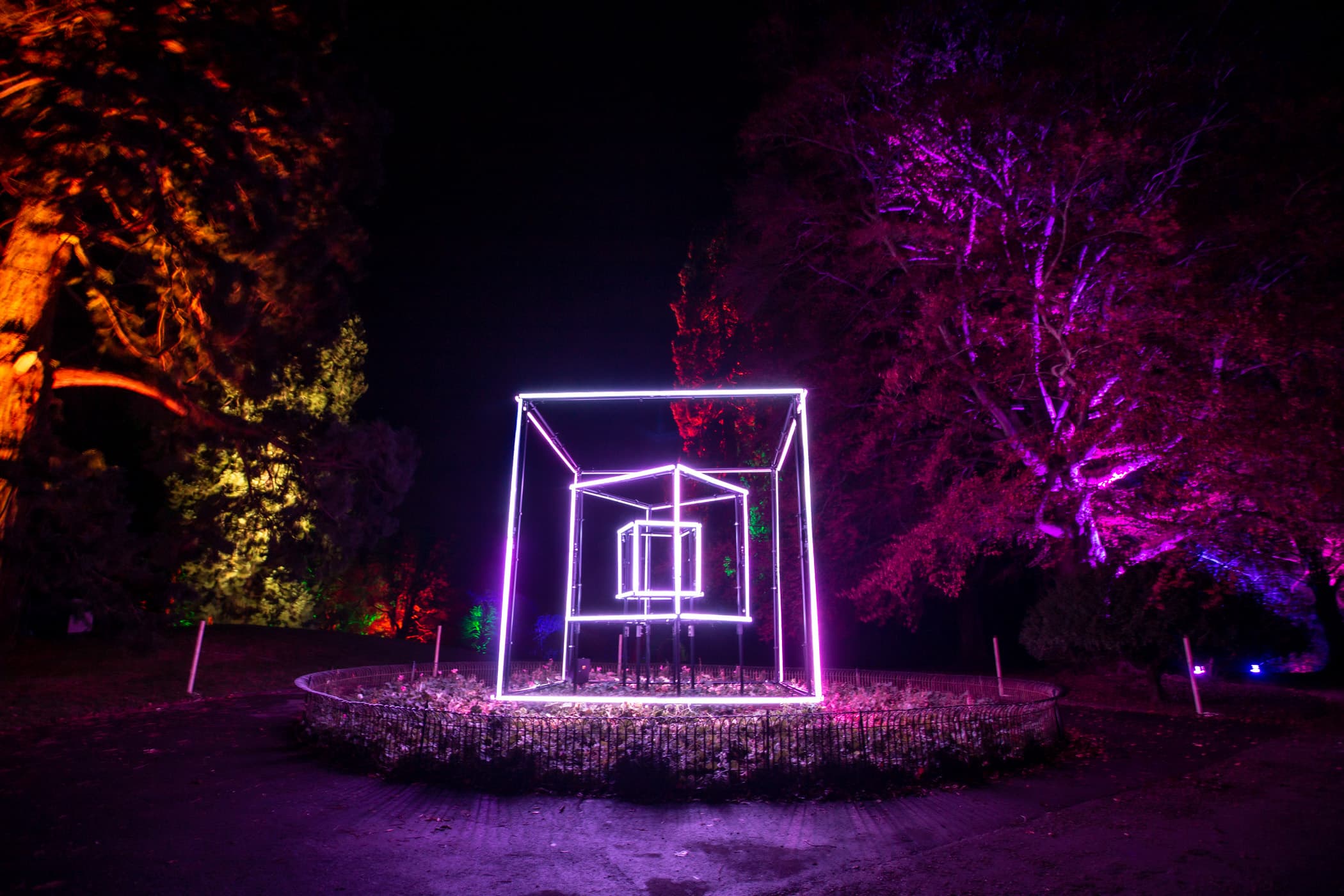 Enchanted Gardens Light Trail - Photo