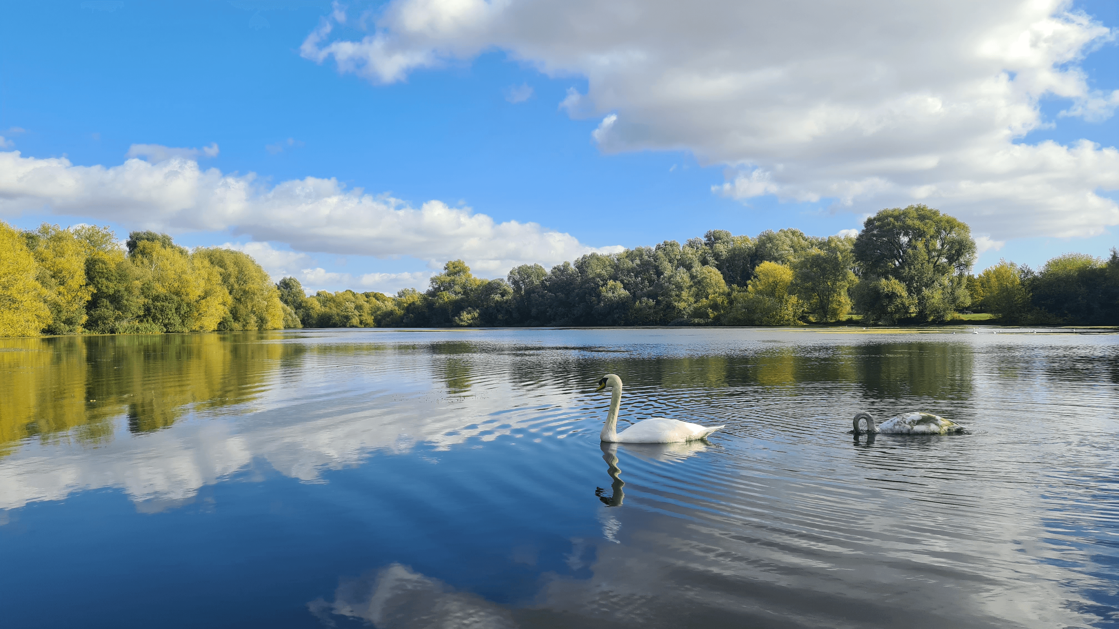Emberton Country Park - Photo