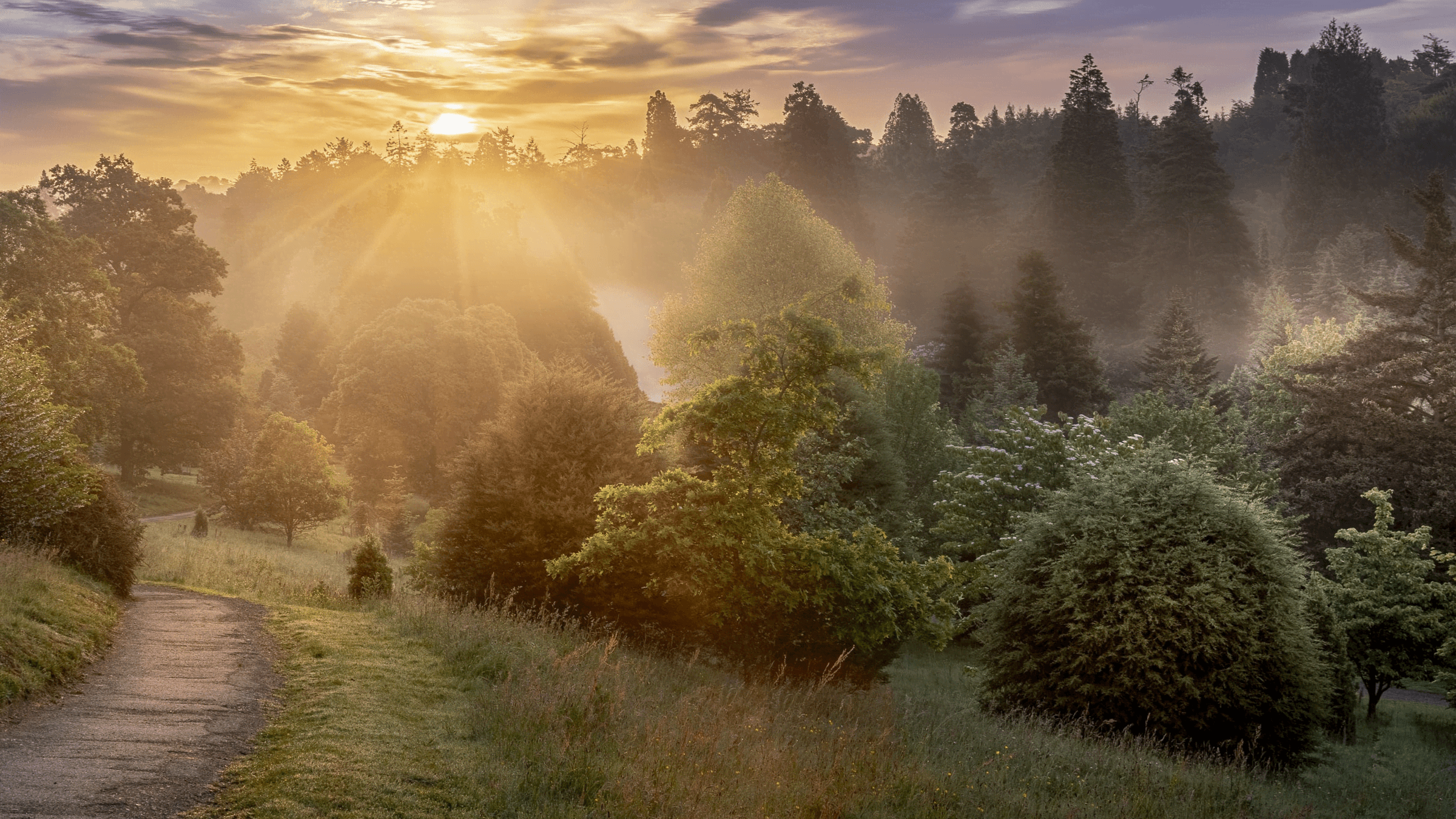 Bedgebury National Pinetum and Forest - Photo