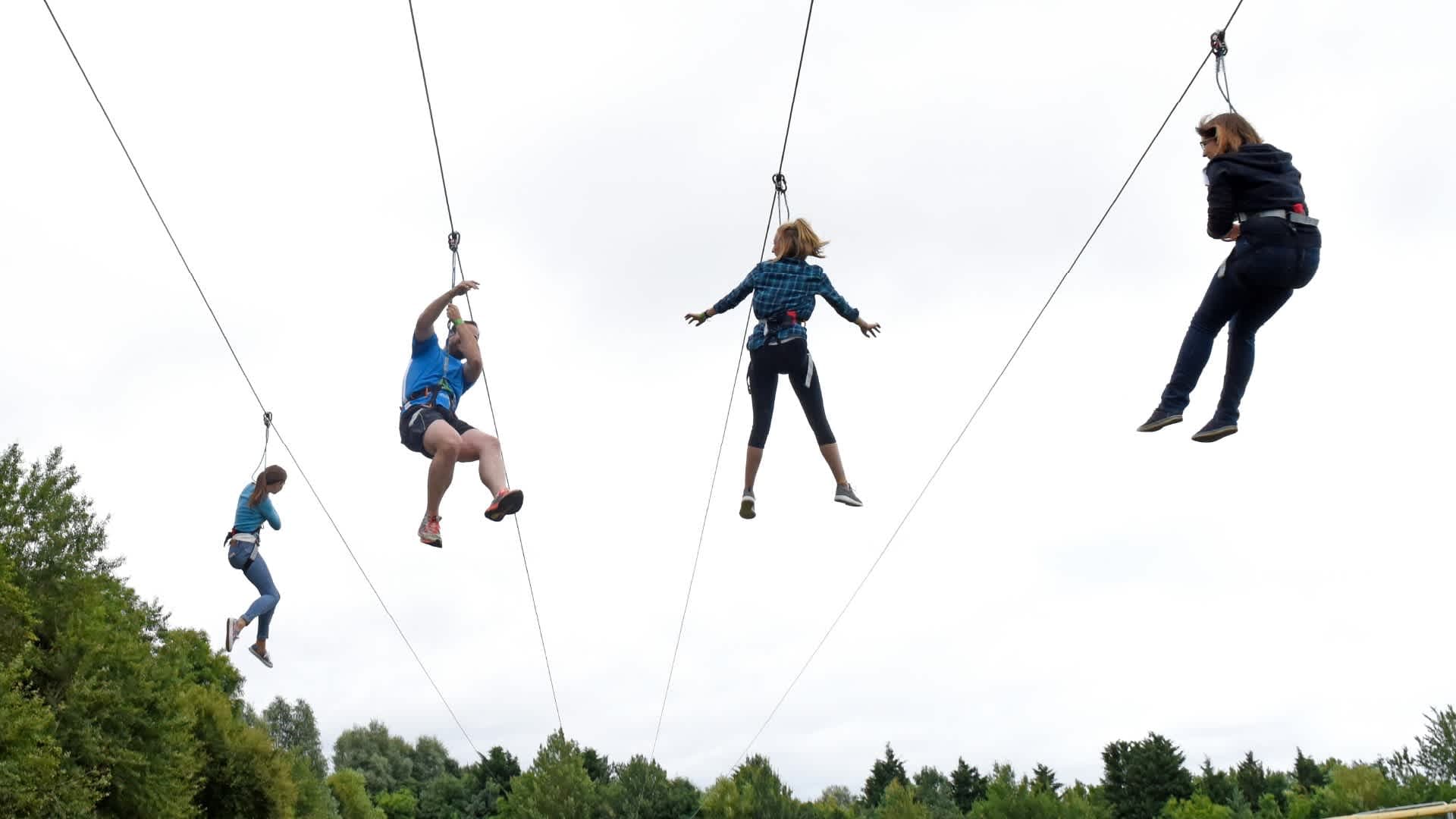 Go Ape Chessington - Photo