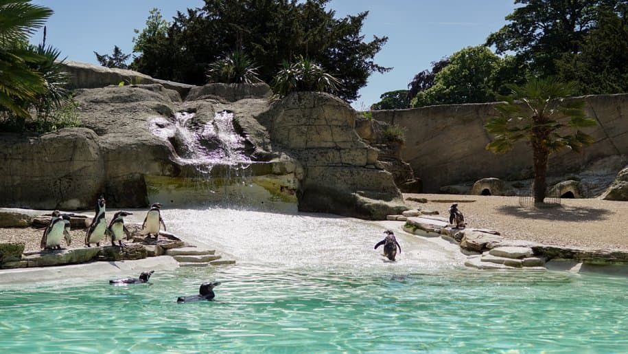 Cotswold Wildlife Park and Gardens - Photo