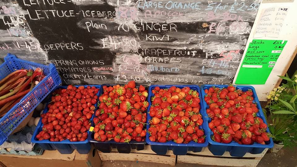 Hillfield Nursery & Farm Shop - Photo