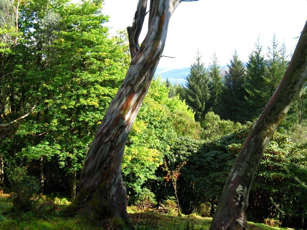 Crarae Gardens - Photo 1